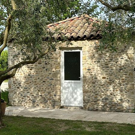 Maisonnette Independante Au Calme Dans Un Grand Jardin Châteauneuf-du-Rhône Zewnętrze zdjęcie