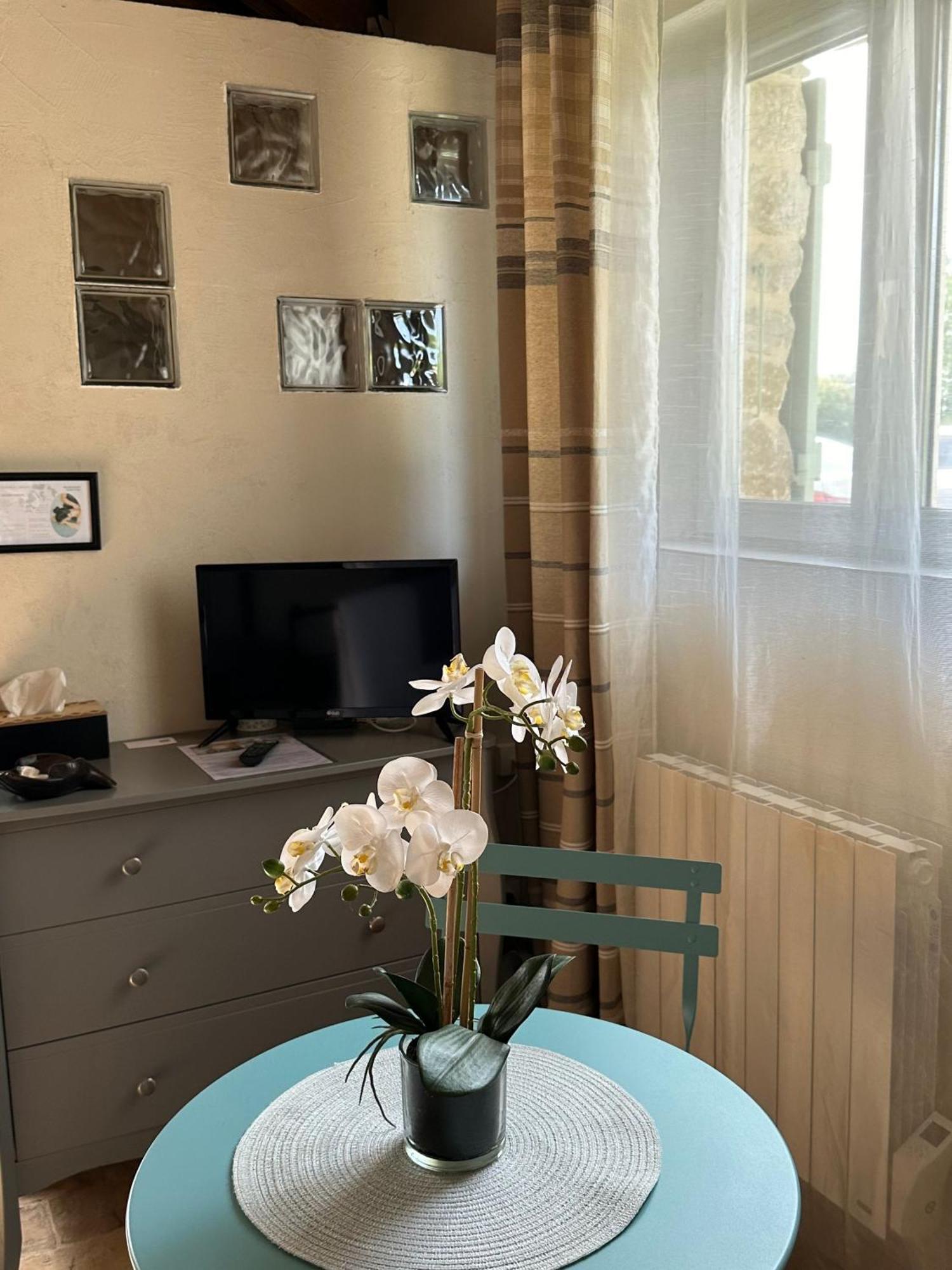 Maisonnette Independante Au Calme Dans Un Grand Jardin Châteauneuf-du-Rhône Zewnętrze zdjęcie
