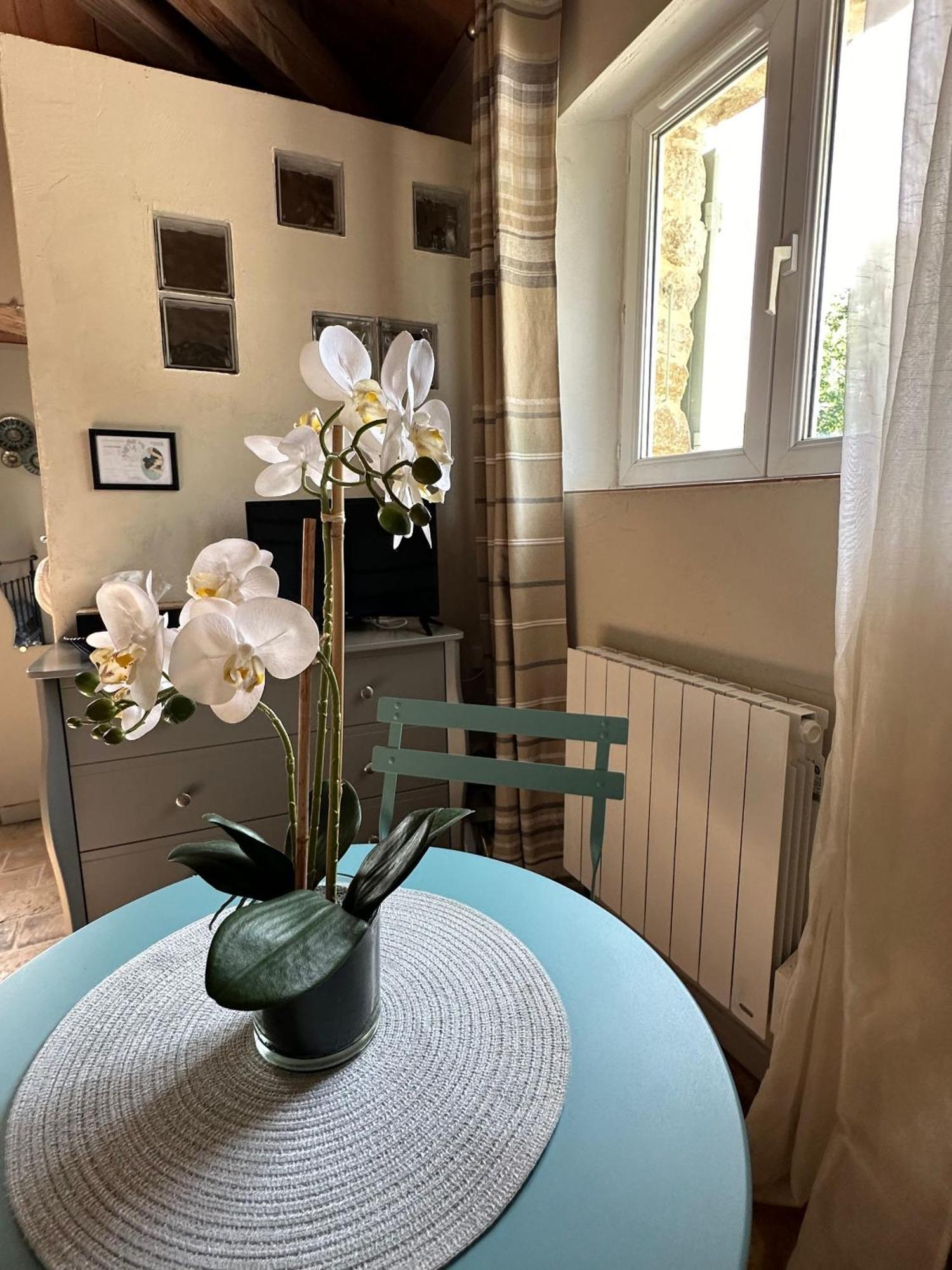 Maisonnette Independante Au Calme Dans Un Grand Jardin Châteauneuf-du-Rhône Zewnętrze zdjęcie