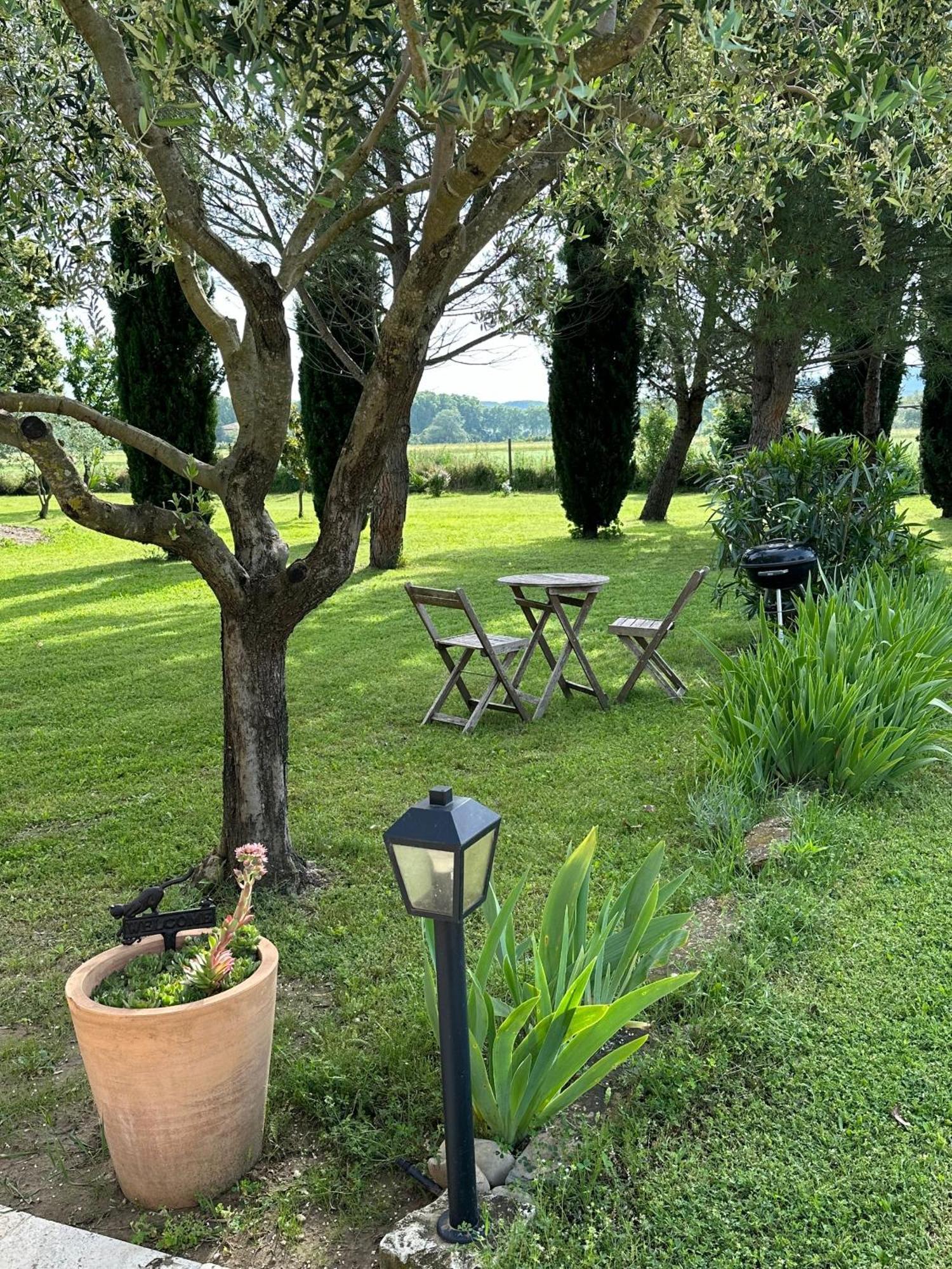 Maisonnette Independante Au Calme Dans Un Grand Jardin Châteauneuf-du-Rhône Zewnętrze zdjęcie